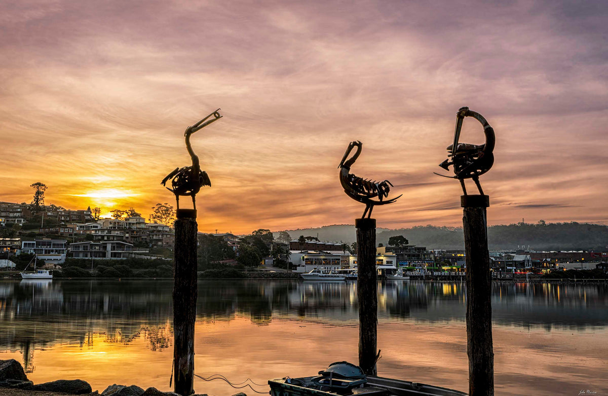 Pelican sculptures Fishpen Merimbula print, golden sunrise over Merimbula Lake