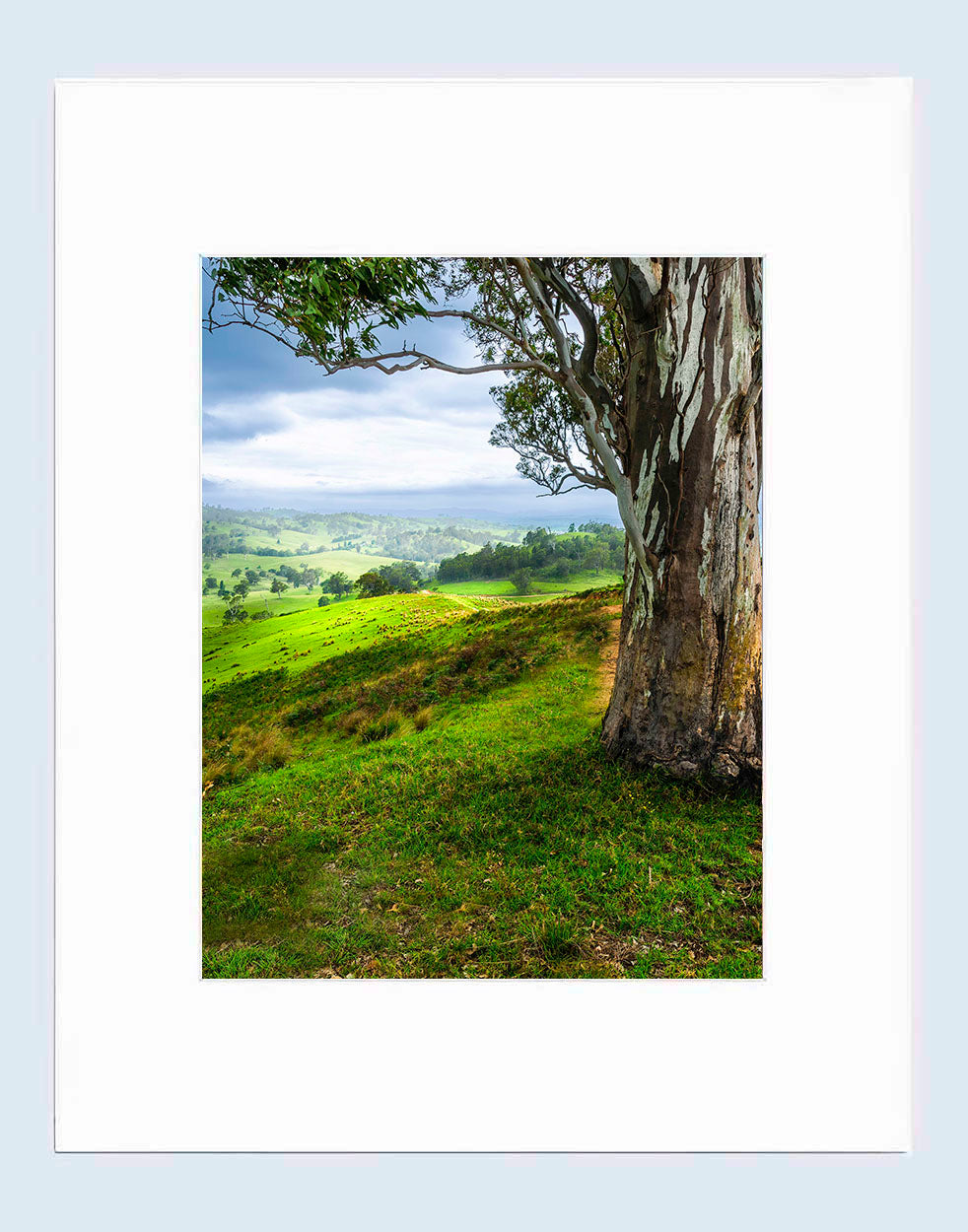Mat print 16x20 — Bega Countryside, Bega Valley NSW
