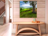 Bega countryside acrylic panel print, Bega Valley NSW