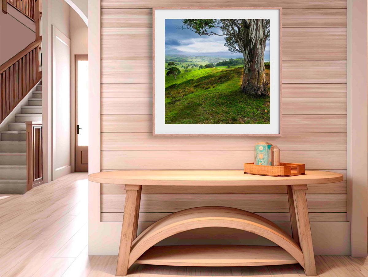 Bega countryside wall art — rolling hills and eucalypts, Bega Valley NSW