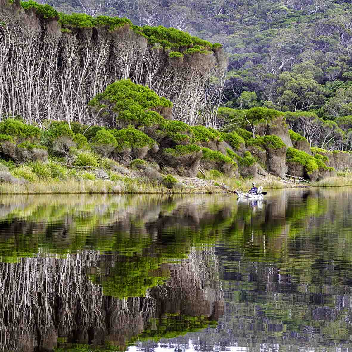Fisherman at Bournda Lagoon print, quiet morning on kayak