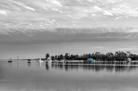 Mitchies Jetty black and white with colour print, only the boatshed in colour