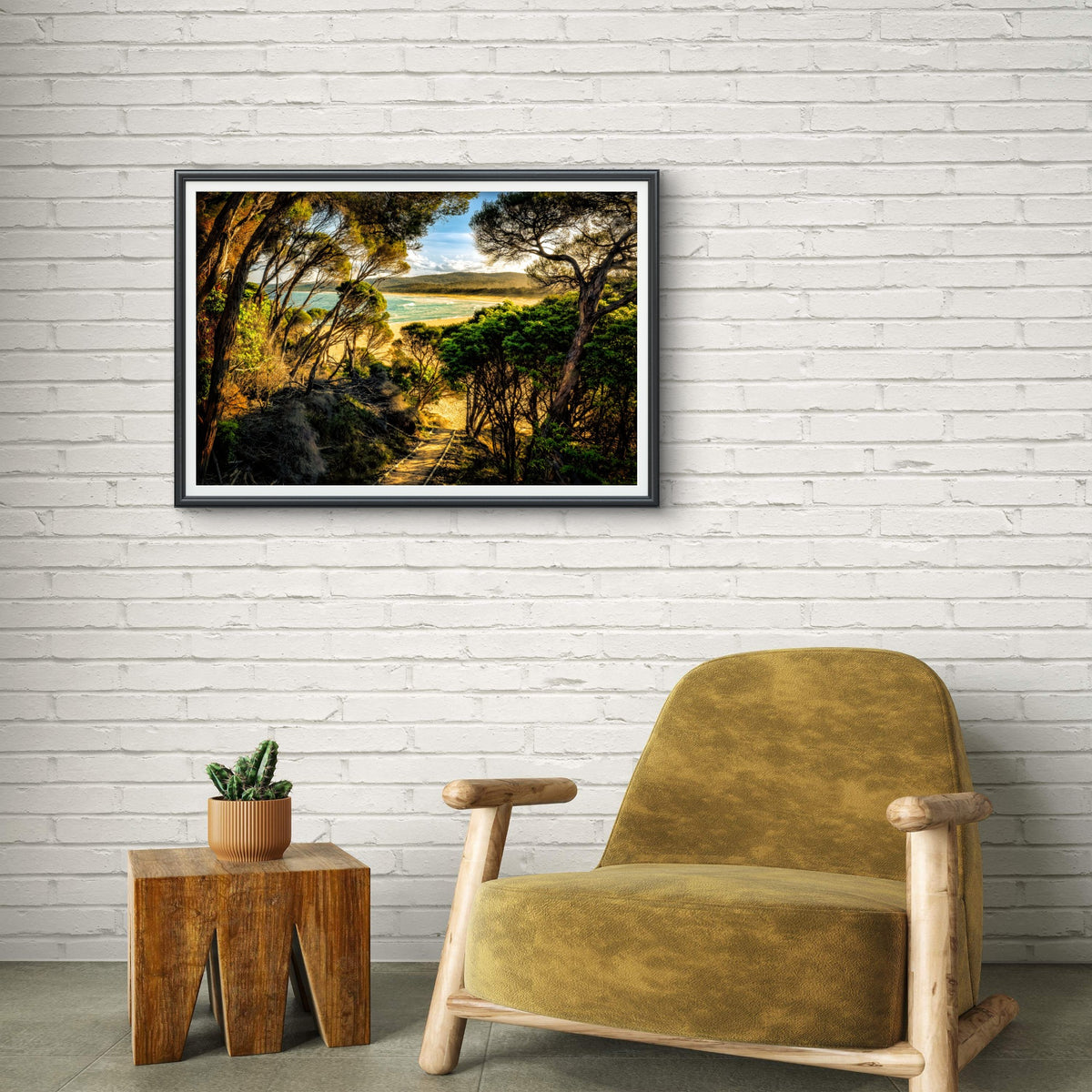 Tree-lined path to Wallagoot Lake beach, Bournda National Park NSW Sapphire Coast — framed print