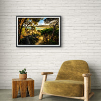 Tree-lined path to Wallagoot Lake beach, Bournda National Park NSW Sapphire Coast — framed print