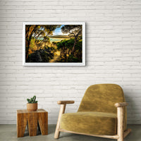 Tree-lined path to Wallagoot Lake beach, Bournda National Park NSW Sapphire Coast — canvas print