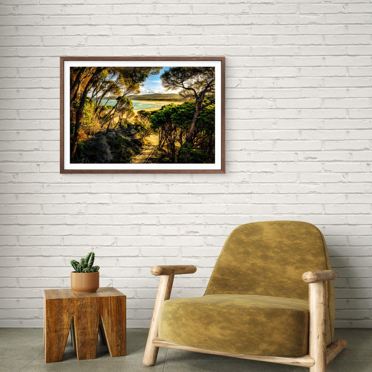 Tree-lined path to Wallagoot Lake beach, Bournda National Park NSW Sapphire Coast — wall art
