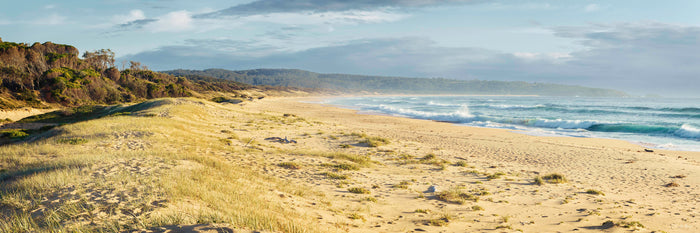 Bournda Beach panorama, golden sand and surf, Sapphire Coast NSW