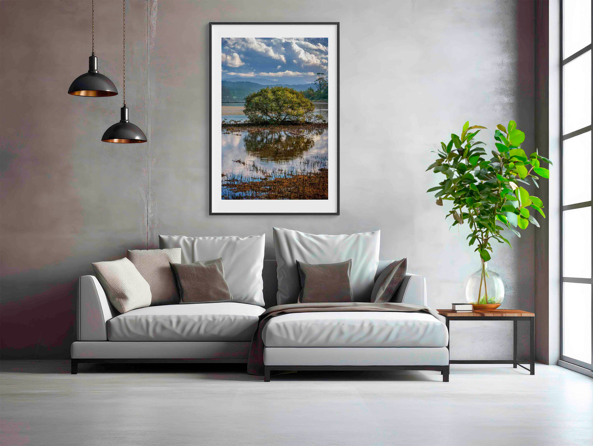 Merimbula Boardwalk Vista wall art — lake view through mangrove canopy, NSW