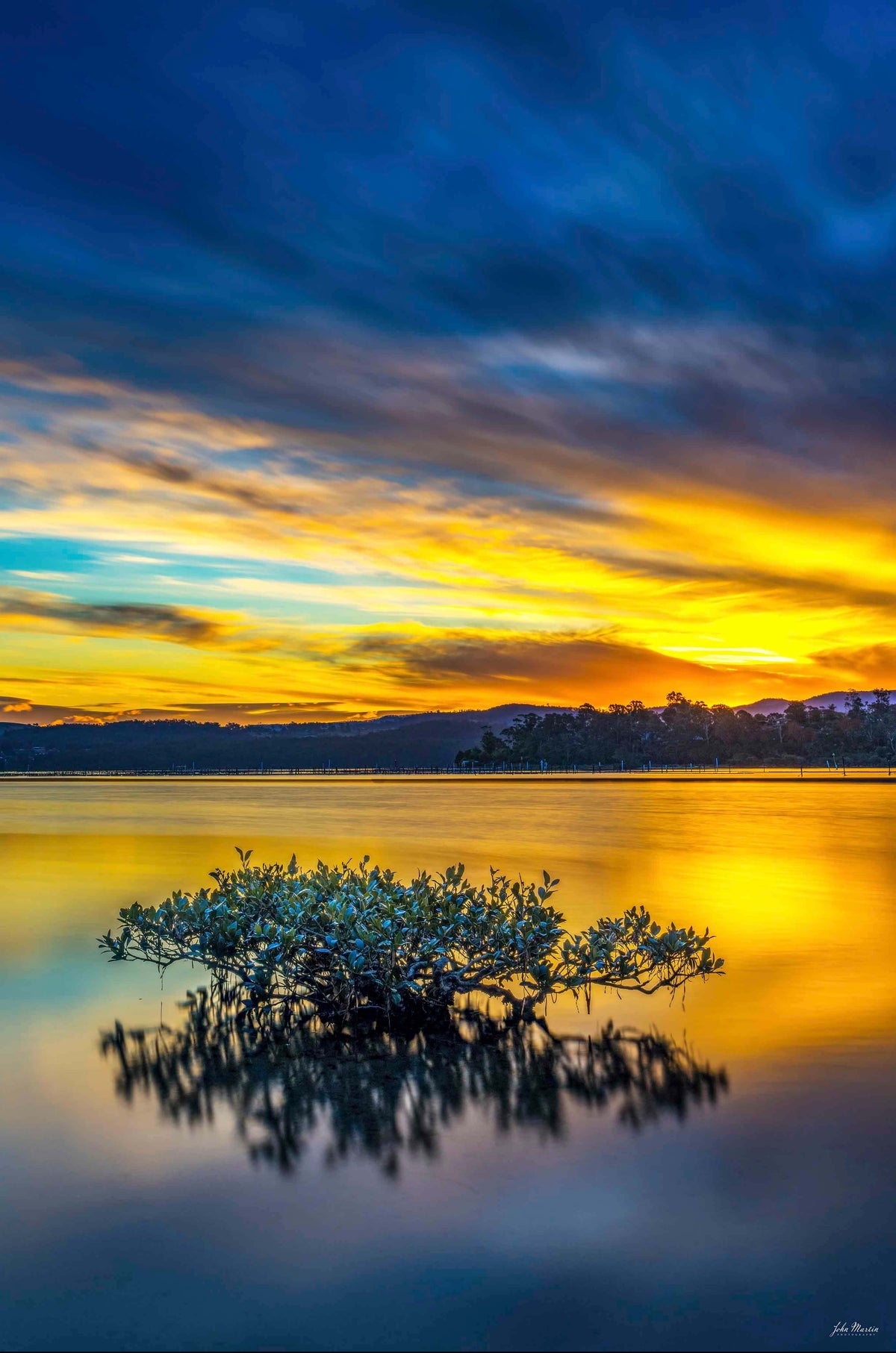 Top Lake Merimbula sunset print with lone mangrove tree reflected in water