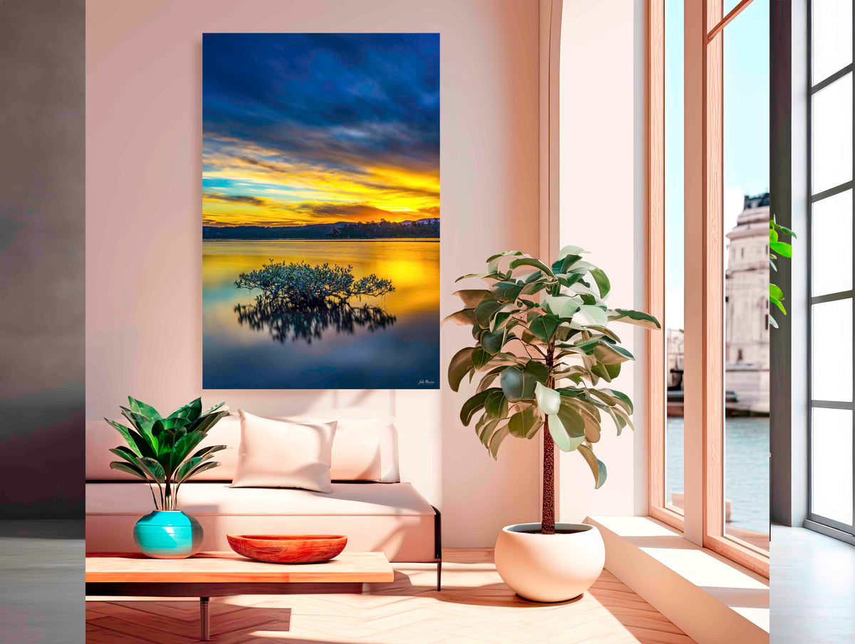 Mangrove Tree Top Lake acrylic panel print