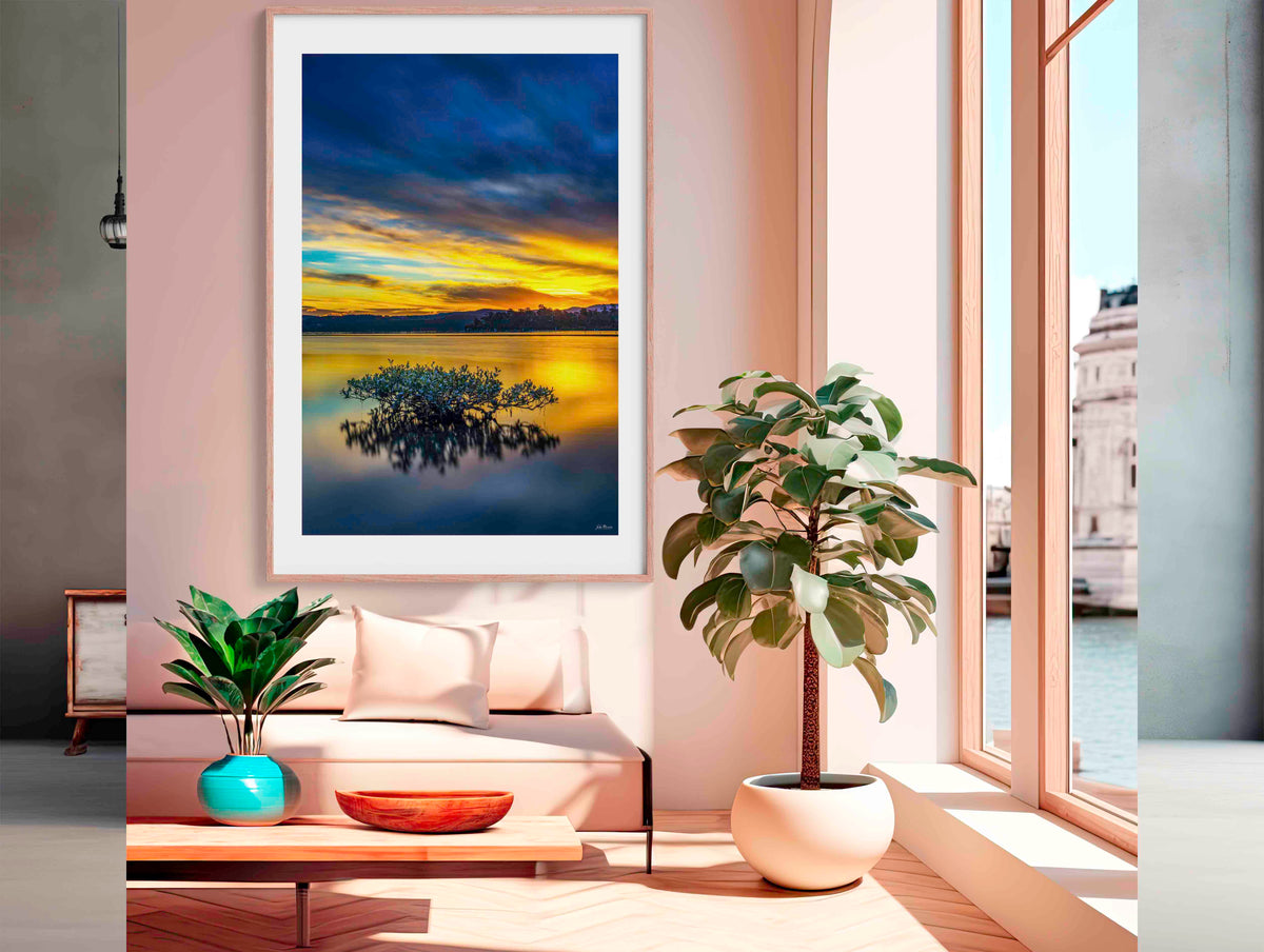 Mangrove Tree Top Lake in timber frame