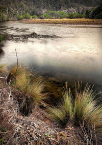 Yowaka River print, soft rain and calm water