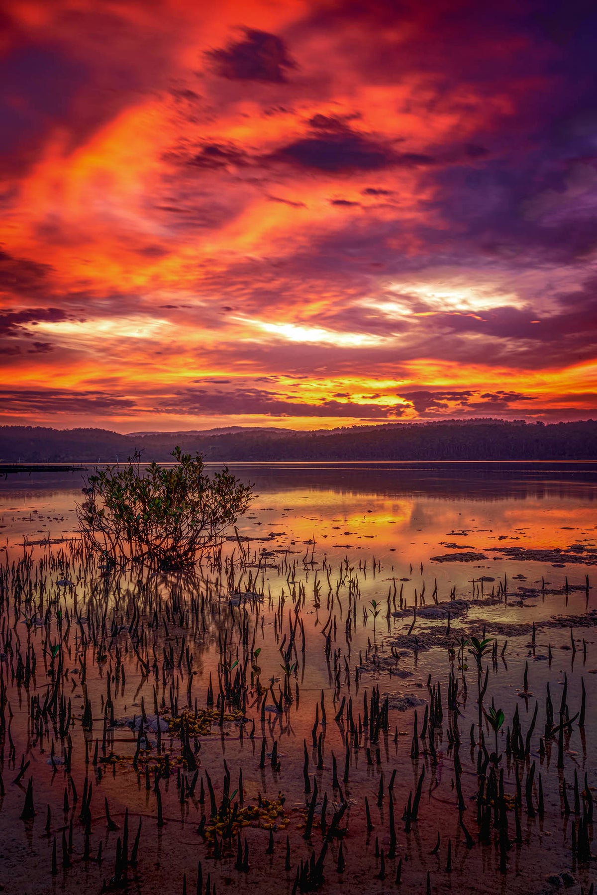 Top Lake Merimbula sunset print, long exposure with golden sky and water