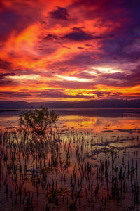 Top Lake Merimbula sunset print, long exposure with golden sky and water