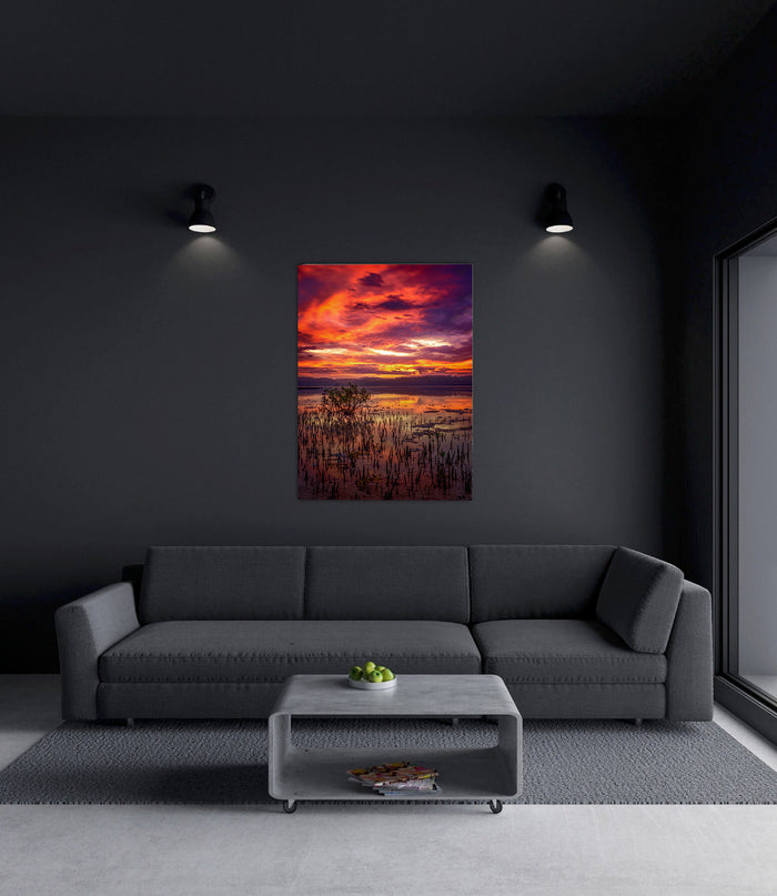 Top Lake Sunset wall art — lone mangrove in golden light, Merimbula NSW
