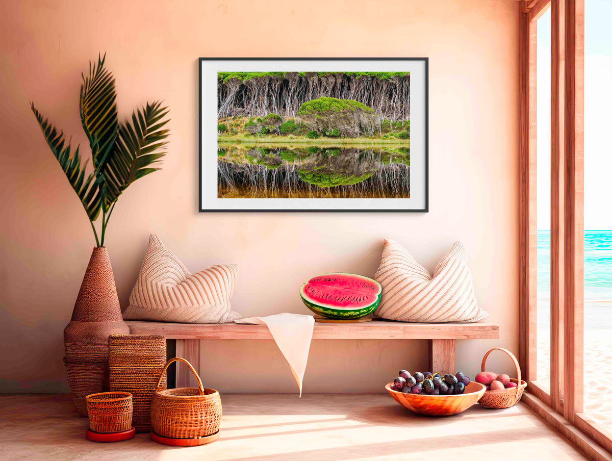 Bournda Reflections wall art — melaleuca trees reflected in still lagoon, Bournda National Park