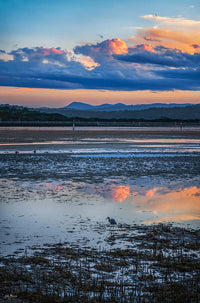 Merimbula Boardwalk photograph, lone heron on tidal flat at sunset