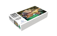 Aslings Beach Rock Pool jigsaw puzzle, 1000 piece — layered red rock and turquoise water at Eden's ocean pool, Sapphire Coast Photography