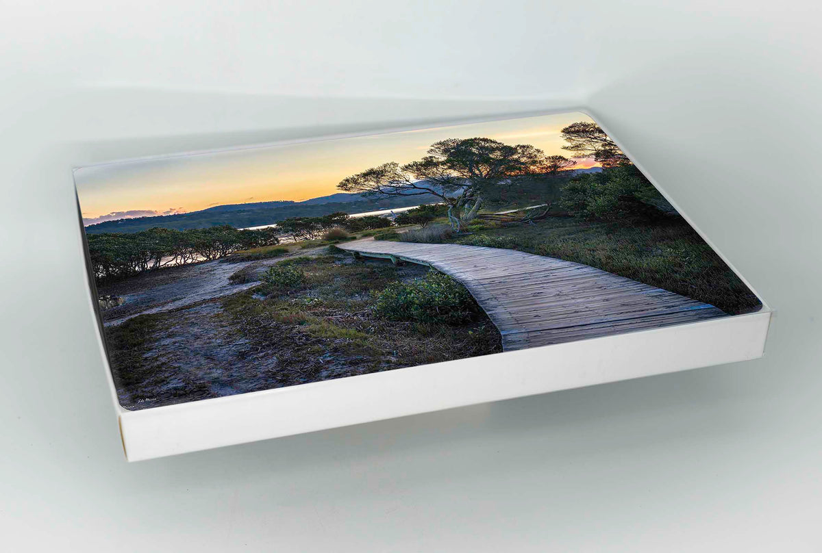 Cork-backed placemats set of six — ancient eucalypts along the Merimbula Boardwalk, NSW Sapphire Coast