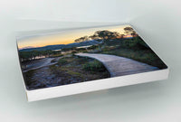 Cork-backed placemats set of six — ancient eucalypts along the Merimbula Boardwalk, NSW Sapphire Coast