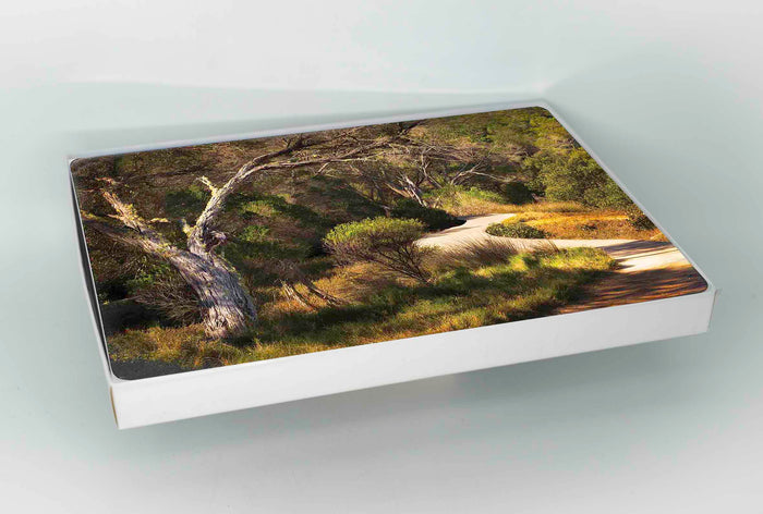 Cork-backed placemats set of six — bush track on the Merimbula Boardwalk in afternoon light, NSW Sapphire Coast
