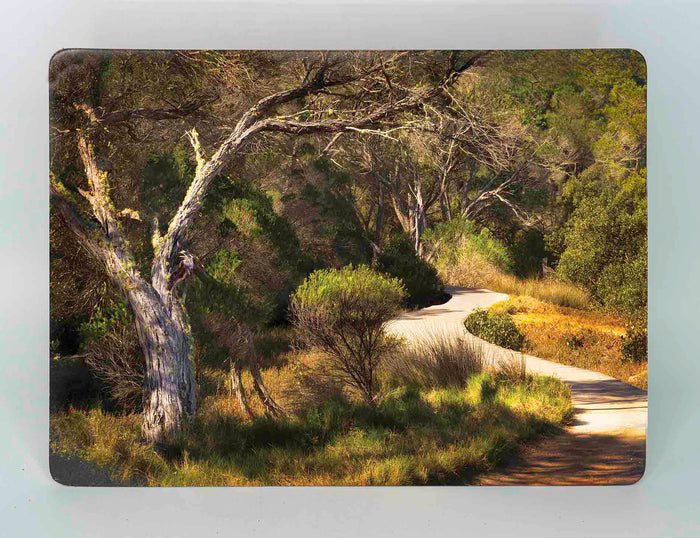 Boardwalk One placemat image