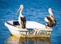 Pelicans' Limo, Merimbula Lake NSW — two pelicans perched on a little white dinghy named The Limo, on sparkling blue water