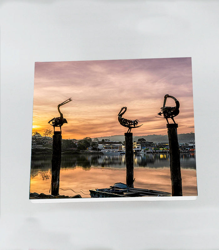 Pelicans Merimbula ceramic coasters set of 4, square with cork backing