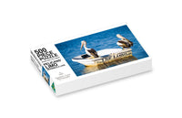 Pelicans' Limo jigsaw puzzle, 500 piece — two pelicans on The Limo dinghy, Merimbula Lake, Sapphire Coast Photography