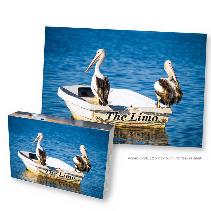 Pelican Limo acrylic block, 12.5 x 17.5 cm, with the full photograph — two pelicans on The Limo dinghy, Merimbula NSW